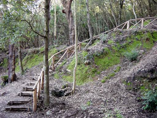 I Parchi naturali di Montioni e di Poggio Neri