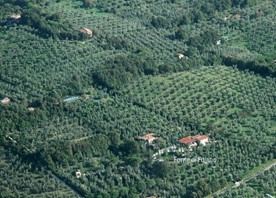 Appartamenti Fonte di Foiano